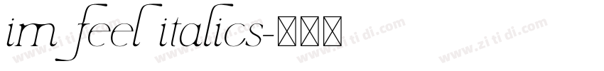 im feel italics字体转换